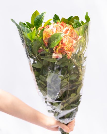 Flores especiales (50 tallos y follaje por $380) - Imagen 8
