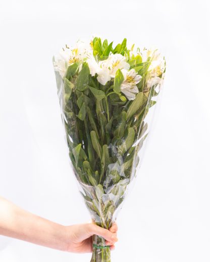 Flores especiales (50 tallos y follaje por $380) - Imagen 6