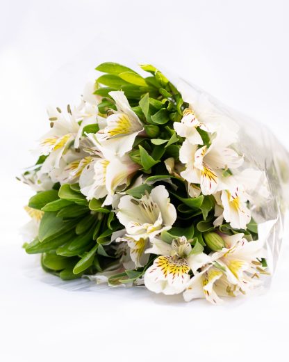 Flores especiales (50 tallos y follaje por $380) - Imagen 5
