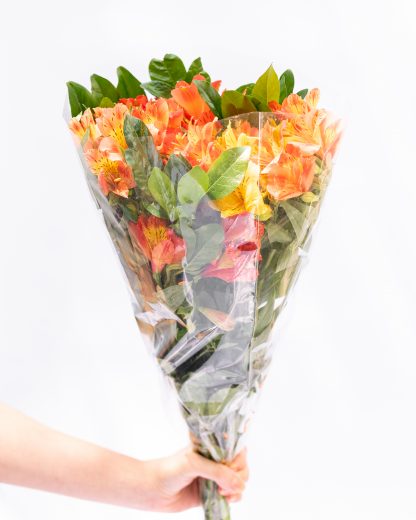 Flores especiales (50 tallos y follaje por $380) - Imagen 4