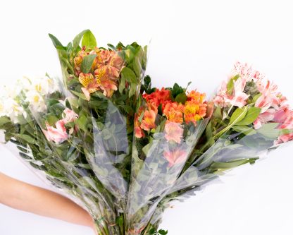 Flores especiales (50 tallos y follaje por $380) - Imagen 3