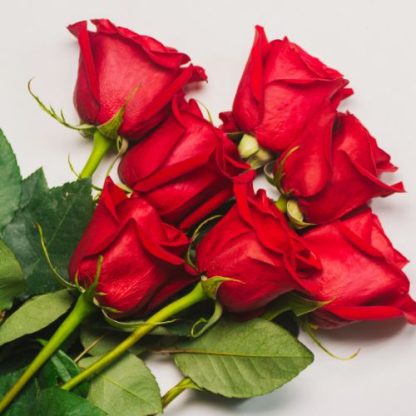 3 docenas de rosas (colores variados: rojo, blanco, rosa palo, rosa claro, rosa fuerte, amarillo, morado, lila) - Imagen 2