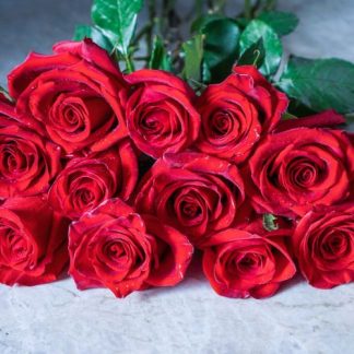 3 docenas de rosas (colores variados: rojo, blanco, rosa palo, rosa claro, rosa fuerte, amarillo, morado, lila)