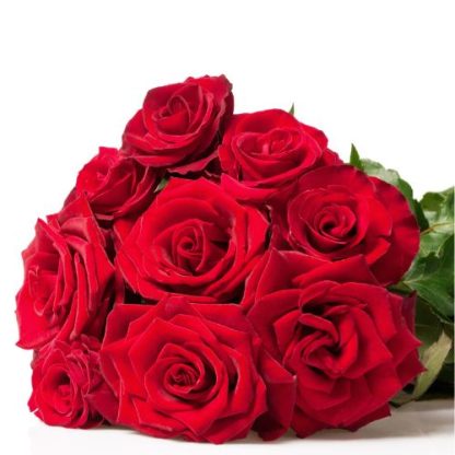 3 docenas de rosas (colores variados: rojo, blanco, rosa palo, rosa claro, rosa fuerte, amarillo, morado, lila) - Imagen 3