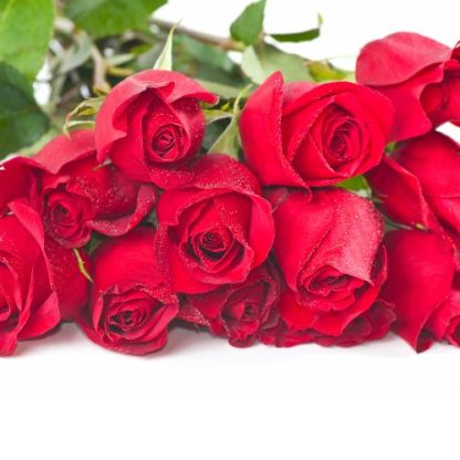 3 docenas de rosas (colores variados: rojo, blanco, rosa palo, rosa claro, rosa fuerte, amarillo, morado, lila) - Imagen 4