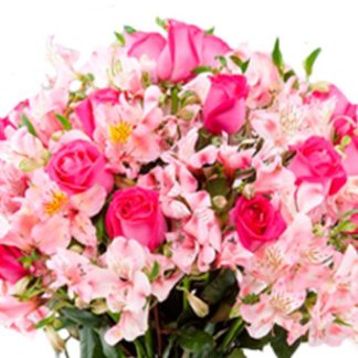 3 manojos de astromelia y una docena de rosa (colores variados)