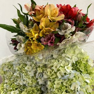 Hortensias y Astromelia (2 manojos de cada una)
