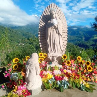 Carrera Camino de Guadalupe